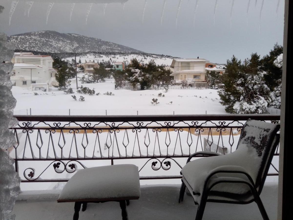 Xenonas Κithαiron Hotel Vília Buitenkant foto