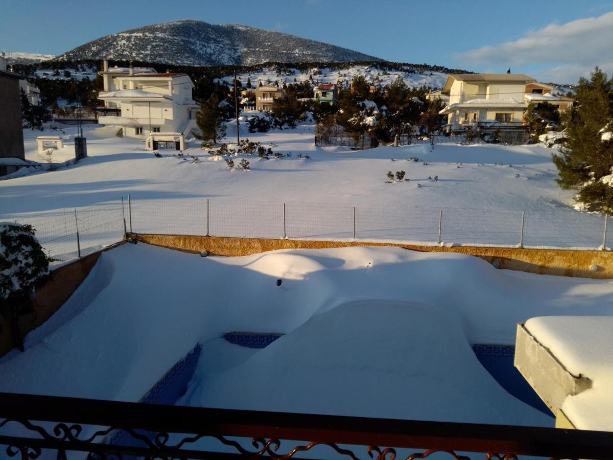 Xenonas Κithαiron Hotel Vília Buitenkant foto
